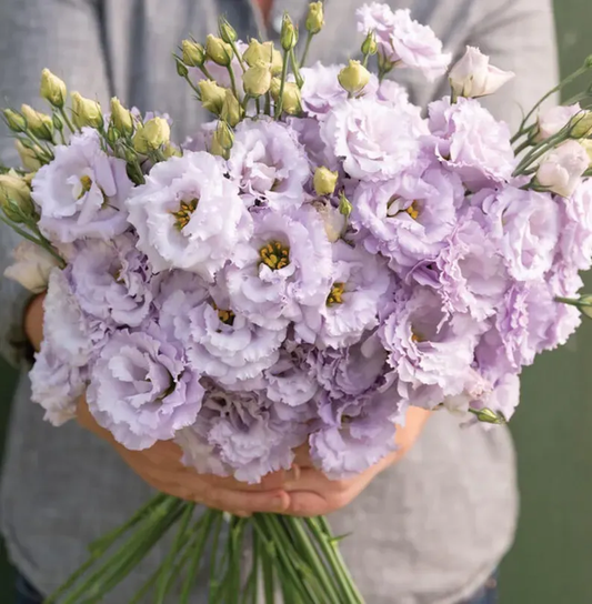 💐Lisianthus - A Sincere and Immutable Love
