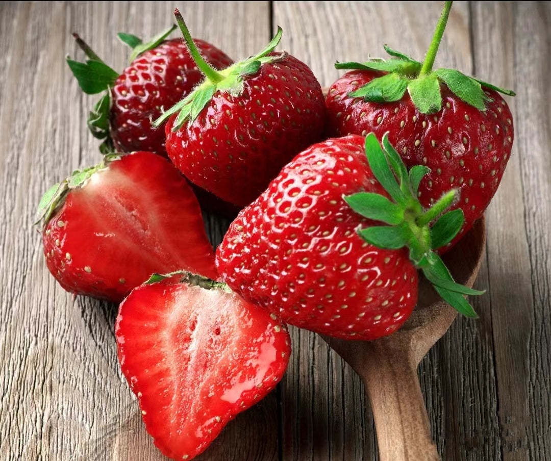 Strawberry Cream Seeds