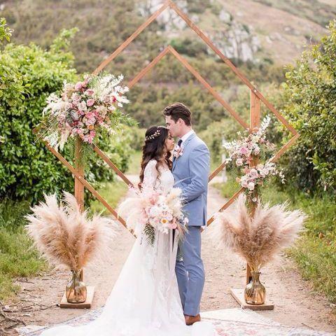 Pampas Grass Magic Garden Seeds
