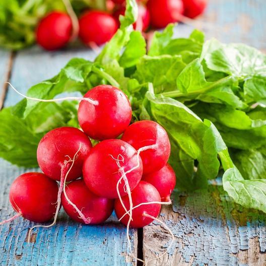 Radish Cherry Belle