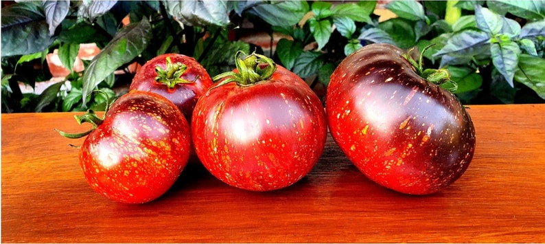 Dark Galaxy Tomato 50 Seeds