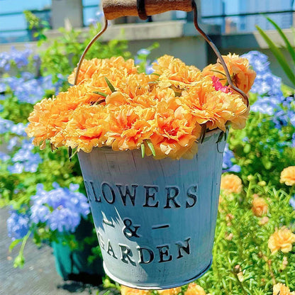 🌹Moss Rose—Immortal Flower