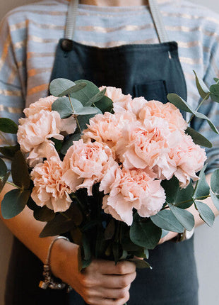 Carnation Seeds - La France