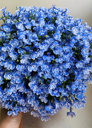 Lobelia Seeds - One of the best edging plants