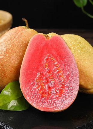 Tropical Strawberry Guava Organic Pink Guava Seeds