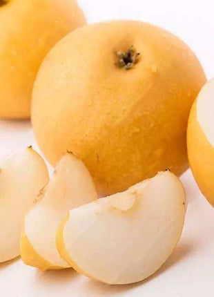 Egrow 10Pcs/Bag Pear Seeds Yellow Chinese Pear Tree Bonsai Seeds Sweet Delicious Exotic Fruit Seeds