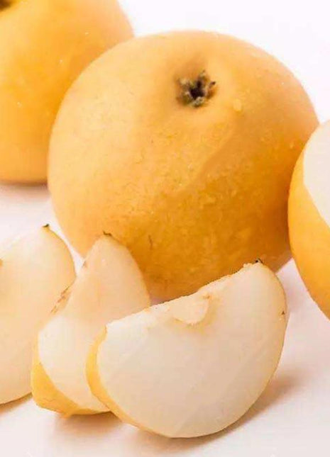 Egrow 10Pcs/Bag Pear Seeds Yellow Chinese Pear Tree Bonsai Seeds Sweet Delicious Exotic Fruit Seeds
