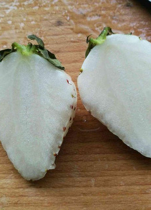 1 Bag Rare Milk Strawberry Seeds