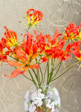 💐Gloriosa Lily—Life Never Dies, Passion Never Dies