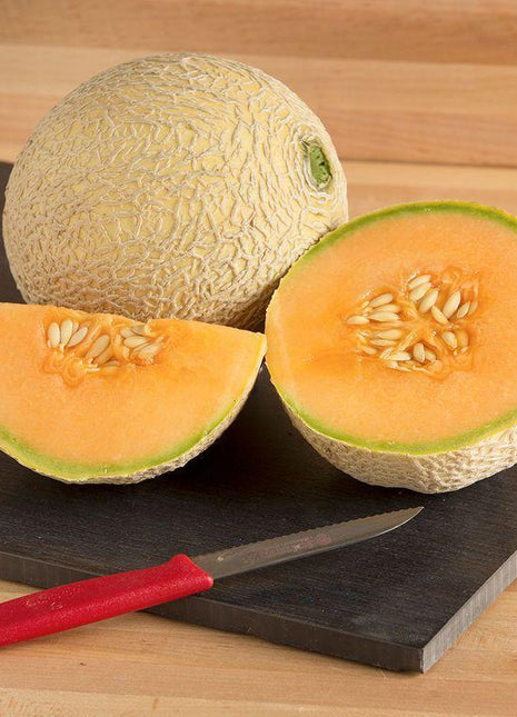 Melon Divergent F1 Organic