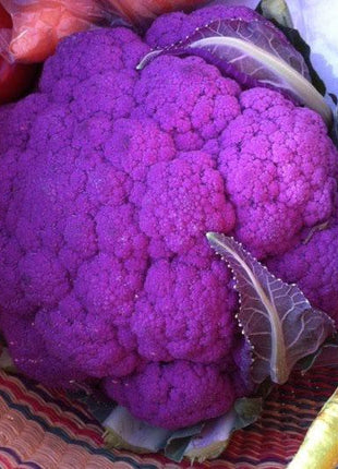 Cauliflower Graffiti F1