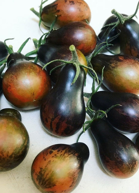 Blue Keyes Tomato Seeds • Dark Anthocyanin Pear Cherry • Open Pollinated • Modern Variety