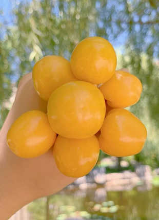 🍒Golden Berry Seeds Lantern Fruit Seeds—Golden Fruit