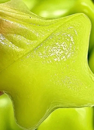 Winter Star Grape Seeds