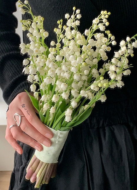 Lily of the Valley Roots