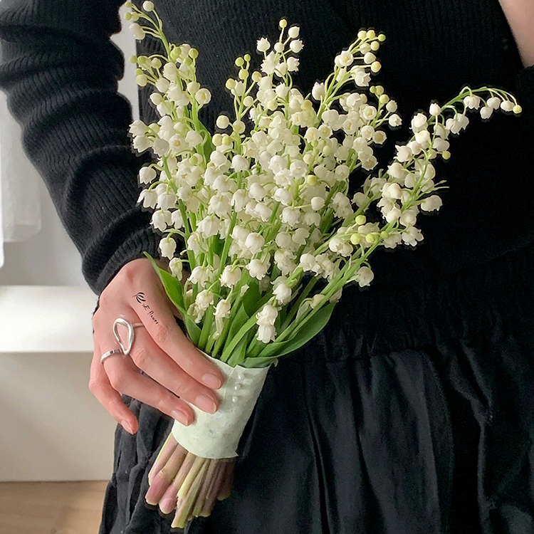 Lily of the Valley Roots