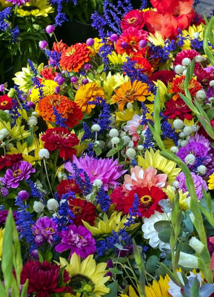 💐Multiple Flower Seeds