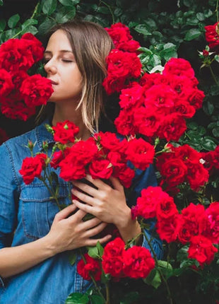 Climbing Plants Mix Seeds