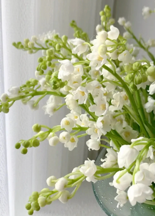 💐Lily of the Valley - Happiness Arrives