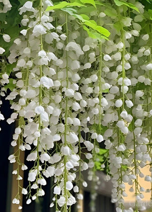 🌼Weeping Jasmine Seeds - White Jade Butterfly