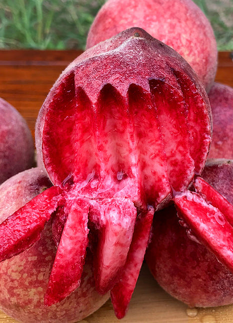 Blood Peach Seeds