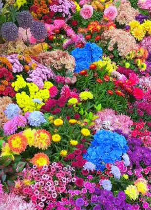Mixed Perennial Flowers Seeds-Over 80 kinds mixed