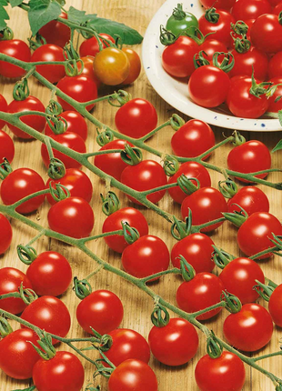 Waterfall Tomato Seeds