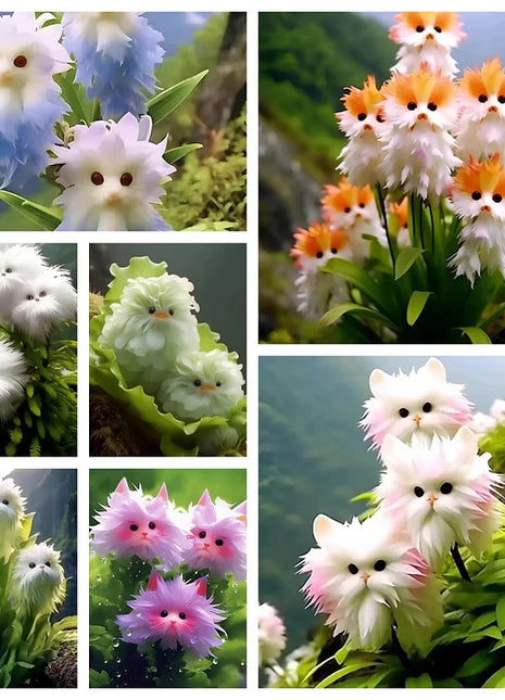 🔥🔥Group discount! Cat's eye flower