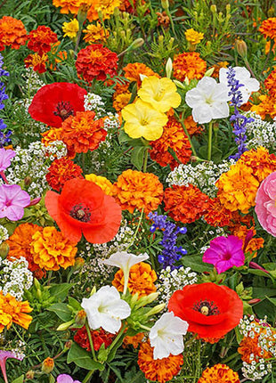 Deer Resistant Seed Mix