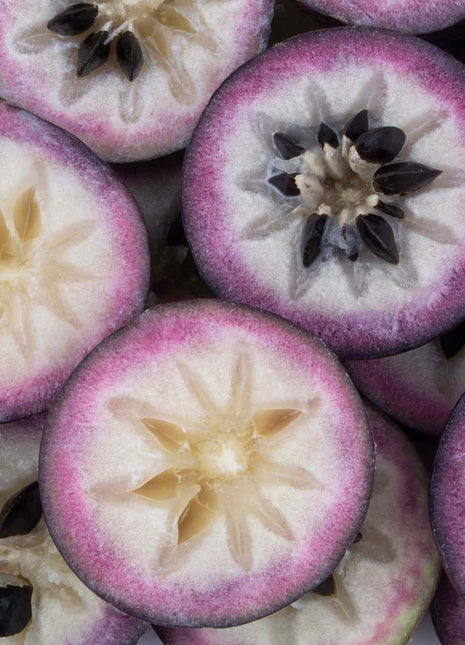 Star Apple Seeds