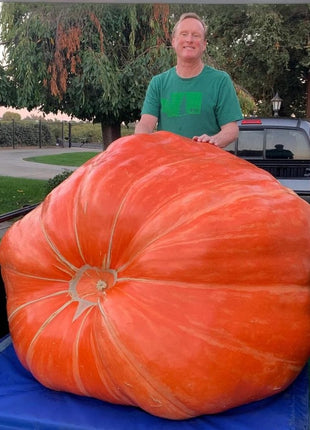 🔥 Organic giant fruits and vegetables