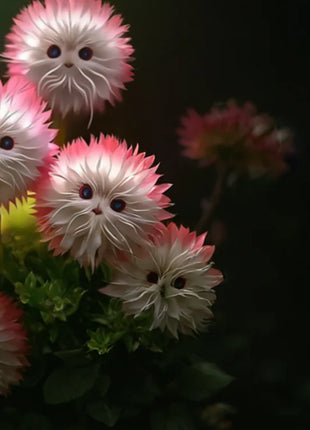 2025 New🔥Red Cat face flower Seeds