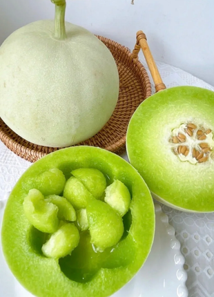 Jade Mushroom🍄Melon Seeds🍈