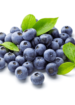 Giant Blueberry Fruit Seeds (20 Seeds a Pack)