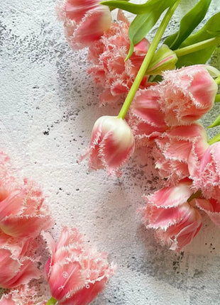 Bonsai Rare Color Tulip Seeds