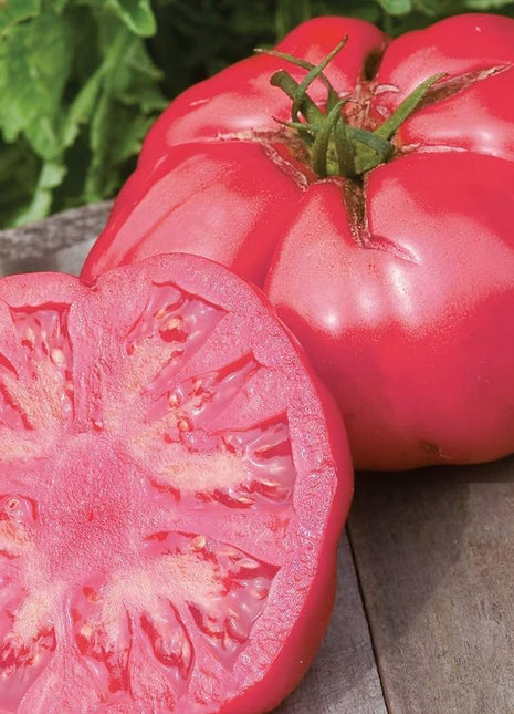 Beafsteak Tomato Seeds