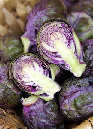 Brussels Sprouts Redarling F1