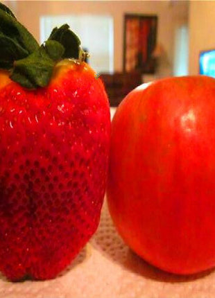 🍓Super Giant Strawberry Seeds