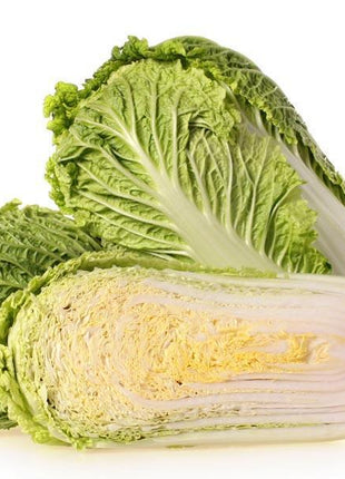 Cabbage Bilko F1 Organic