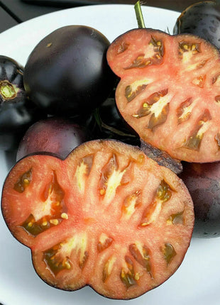 Giant Black Beauty Tomato