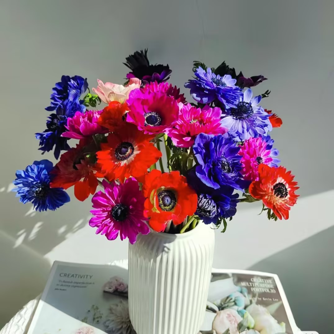 Anemone Seeds