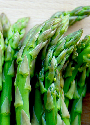 Asparagus Crowns Millennium