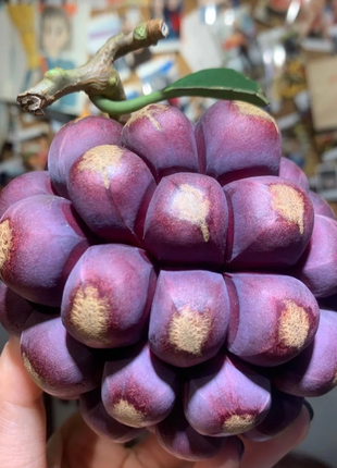 Black Tiger Seeds | Devil Fruit