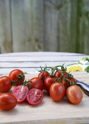 Garden Gem Tomatoes
