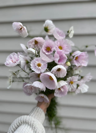 COSMOS CUPCAKE BLUSH FLOWER SEEDS