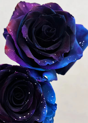 Starry Sky Roses