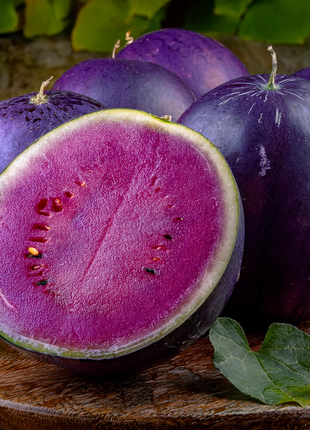 Purple Watermelon Seeds🍉✨