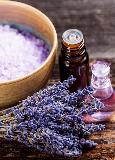 Lavender Seeds - Hidcote