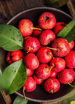 Hawthorn Seeds