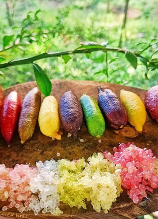 Finger Lime Seeds Lemon Caviar Seeds